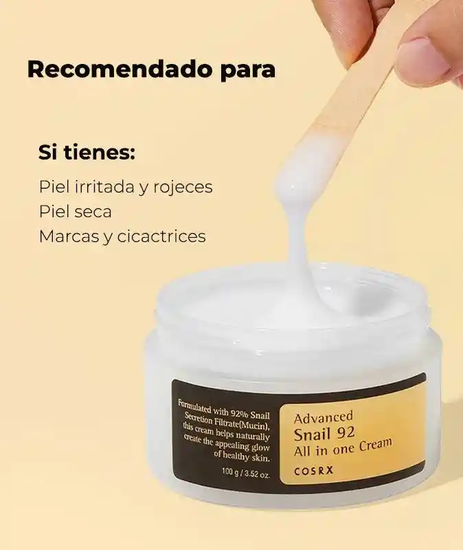 Crema Hidratante De Baba De Caracol Cosrx Advanced Snail 92 All In One Cream 100g