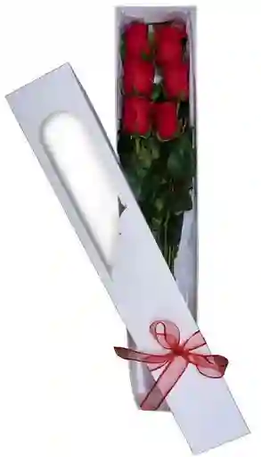 Flores - Caja De 8 Rosas Eterna Alegría