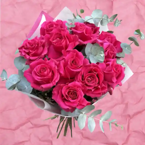 Rosas Fucsias X12