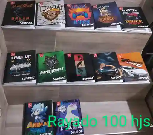 6 Cuadernos 100 Hojas Cuadriculado O Rayado Sin Stickers Eco