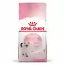 Royal Canin Kitten 400g