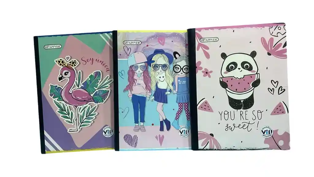 Cuaderno Ferrocarril Cosido 100 Hojas Pappyer Para Mujer Diseño Varios