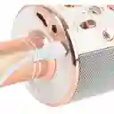 Micrófono Karaoke Ws 858