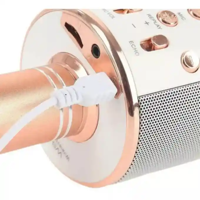 Micrófono Karaoke Ws 858