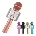 Micrófono Karaoke Ws 858