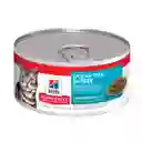 Hills Lata Gato Ocean Fish 5.5 Oz Hills Lata Gato Sabores De Mar Hills Gato