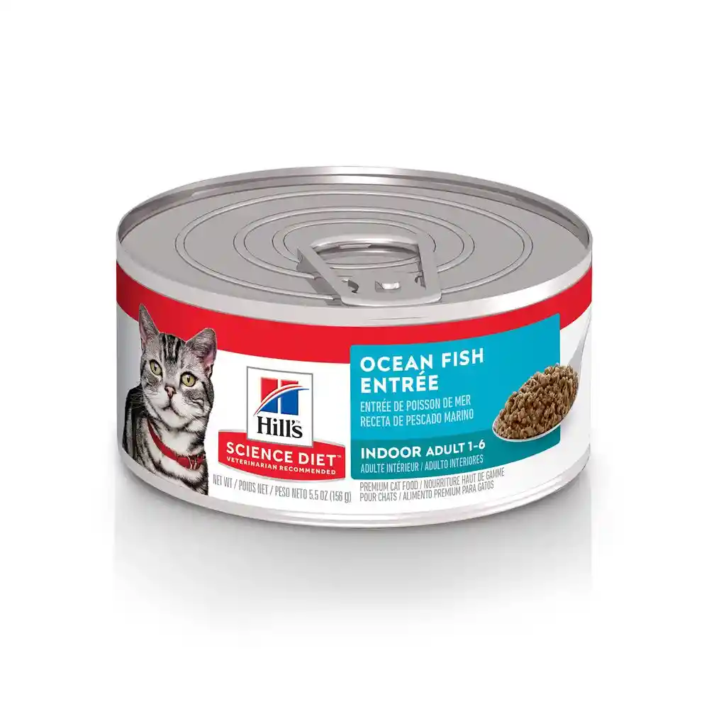 Hills Lata Gato Ocean Fish 5.5 Oz Hills Lata Gato Sabores De Mar Hills Gato