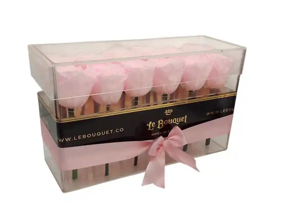 Caja Acrílico Por 12 Rosas Preservadas Rosado