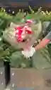 Ramo De Flores Surtidas Sutileza Rosada