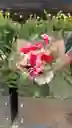 Ramo De Flores Surtidas Sutileza Rosada