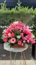 Arreglo Floral Brisa Rosa