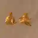 Aretes Candonga Helecho Romeron