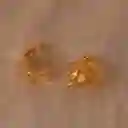 Aretes Candonga Helecho Romeron