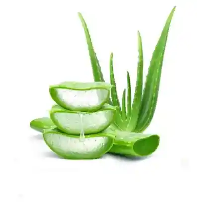 Perlas Explosivas Aloe Vera 500g