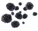 Perlas Explosivas Zarzamora 500g