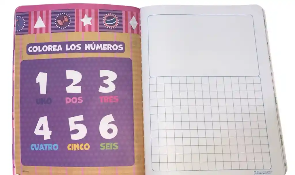 Cuaderno Cosido Cuadriculado Cuadro Grande 1cmx1cm Tipo A Niño Primavera X 1oohojas Plastificado Con Stickers