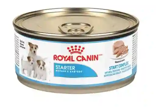 Royal Canin Starter Mousse Lata 5.1 Oz