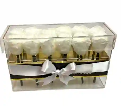 Caja Acrílico Por 12 Rosas Preservadas Blanco
