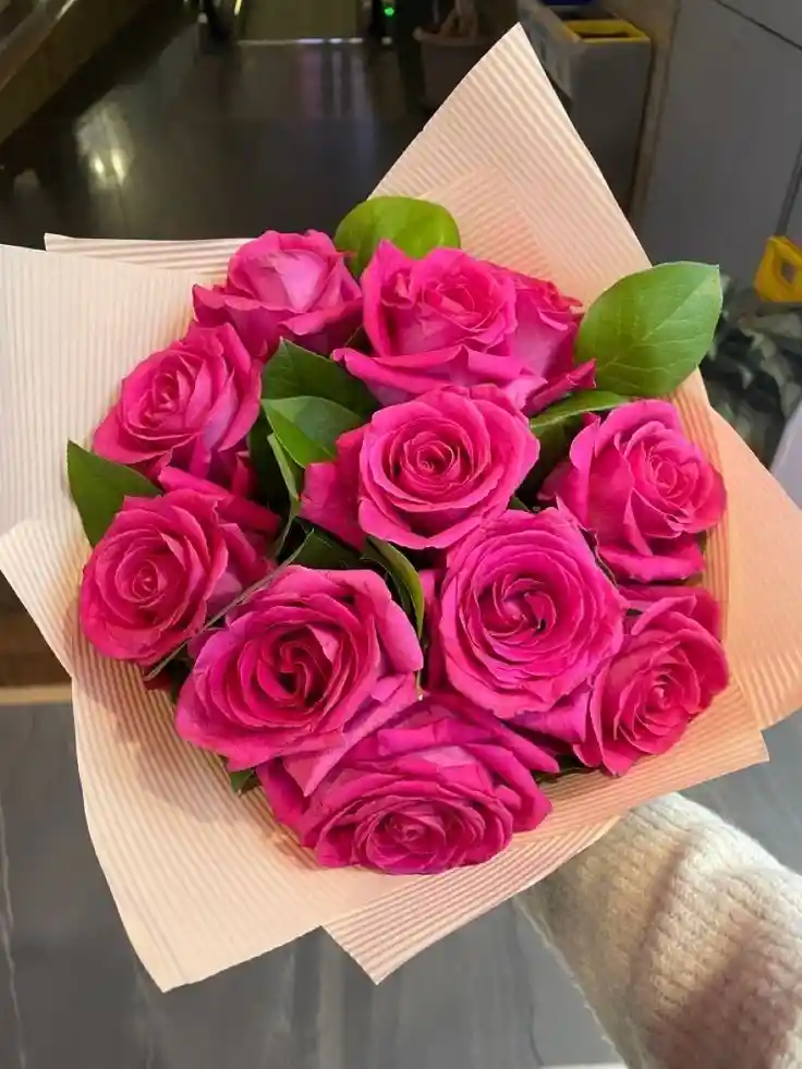 Encanto Floral