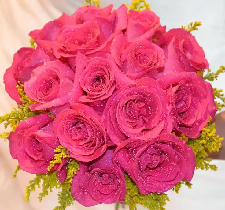 Rosereef
