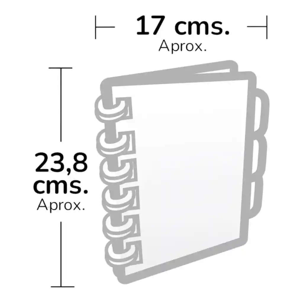 Cuaderno 7 Materias Pequeño Primavera Arg Masculino Cuadriculado