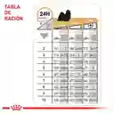 Royal Canin Shih Tzu Adulto Lata 3 Oz