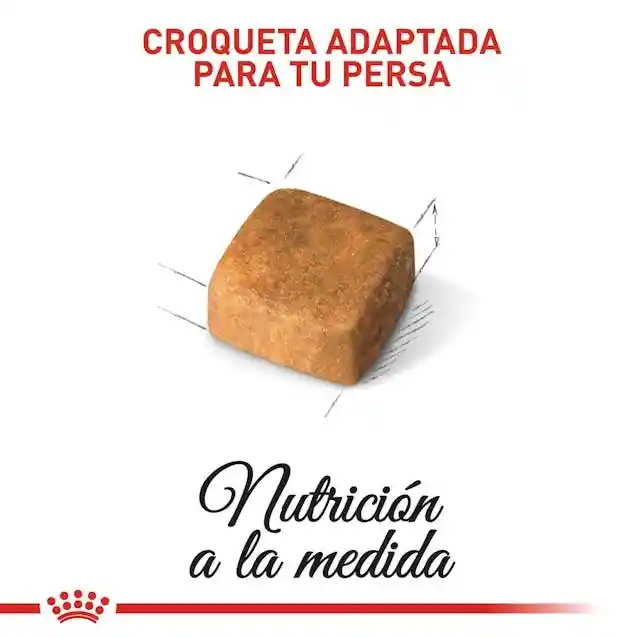 Royal Canin Persian Kitten 2kg