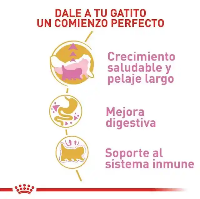 Royal Canin Persian Kitten 2kg