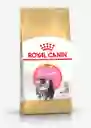 Royal Canin Persian Kitten 2kg