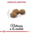 Royal Canin Sterilised 37 2 Kg