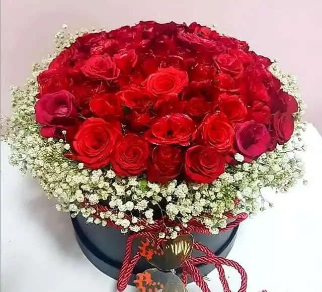 Caja De Flores Con 48 Rosas Rojas