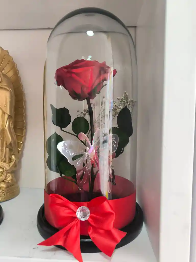 Rosas Preservadas