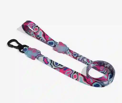 Zee Dog Blast Leash Small