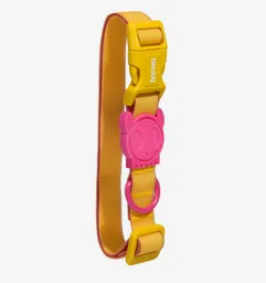 Zee Dog Neopro Lyra Collar Small