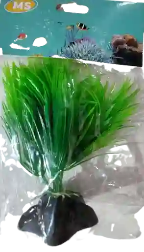 Planta Para Acuario 6