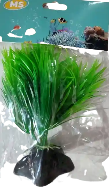 Planta Para Acuario 6