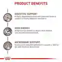 Royal Canin Gastroinstestinal Gato 2 Kg