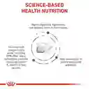 Royal Canin Gastroinstestinal Gato 2 Kg