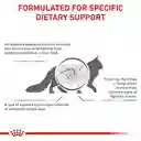 Royal Canin Gastroinstestinal Gato 2 Kg