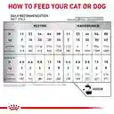 Royal Canin Recovery Lata 5.1 Oz