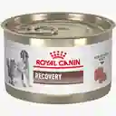 Royal Canin Recovery Lata 5.1 Oz