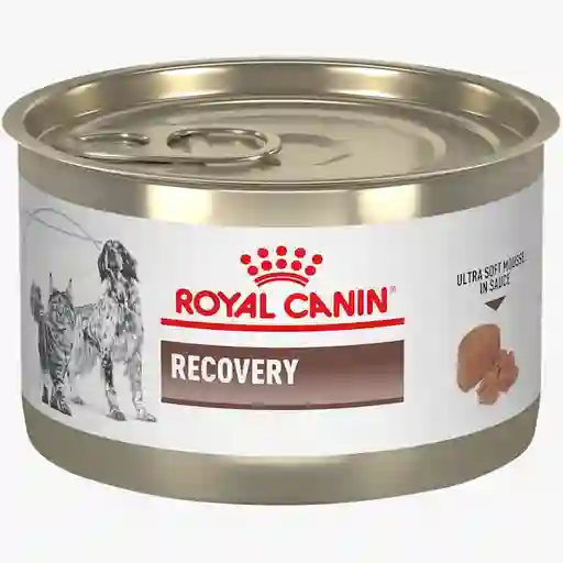 Royal Canin Recovery Lata 5.1 Oz
