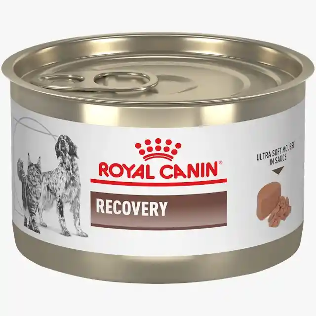 Royal Canin Recovery Lata 5.1 Oz