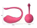 Vibrador Larga Distancia