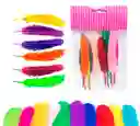 Paquete Plumas De Colores X12