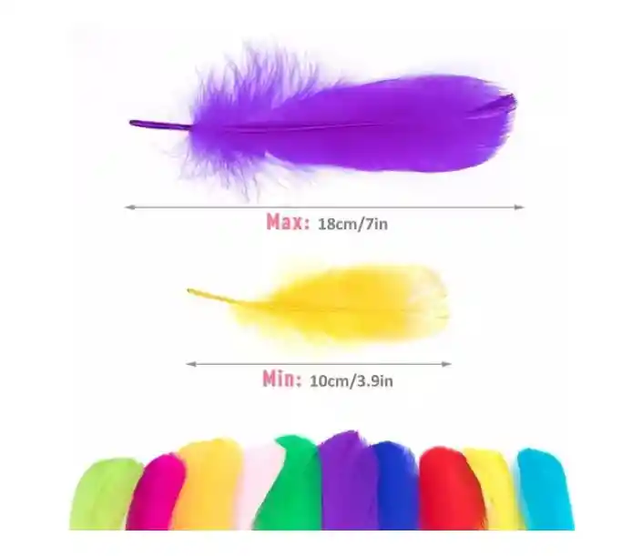 Paquete Plumas De Colores X12