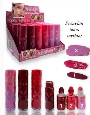 Rubor Liquido Lipgloss Y Sombra Con Aplicador Aliddybeauty Colors Ref 1496