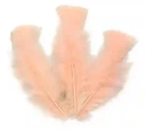 Paquete De Plumas Curuba X12