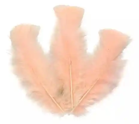 Paquete De Plumas Curuba X12