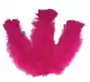 Paquete De Plumas Fucsia X12